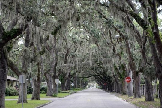 Thanksgiving in St Augustine