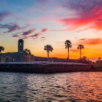 Day Cruises