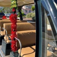 Tours & Sightseeing