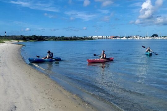 Deluxe Dolphin Kayak Tour