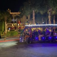 Night Tours