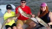 Lovely Jack Crevalle fishing with family!
