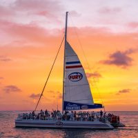 Weddings & Honeymoons