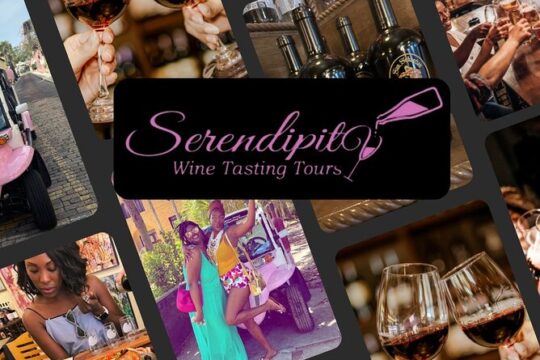 Mobile Wine Tasting and Food Pairing Tour St. Augustine