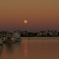 Shore Excursions
