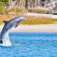 Sustainable Tours