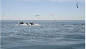 A lovely morning