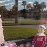 Literary, Art & Music Tours