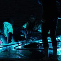 Glass Bottom Boat Tours